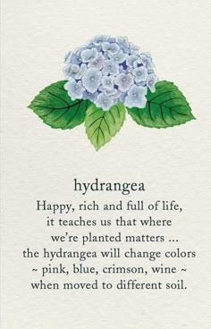 a poem written in watercolor with blue flowers and green leaves