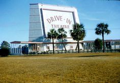 the drive - by theatre is located in front of palm trees