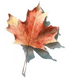 a watercolor painting of an orange maple leaf