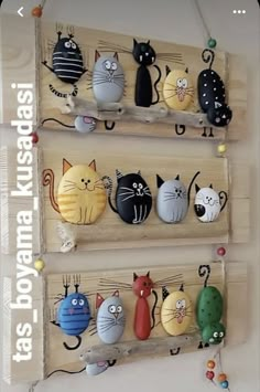 three wooden shelves with cats on them hanging from the wall, each holding different items