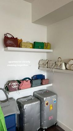 several suitcases and handbags are lined up on the wall