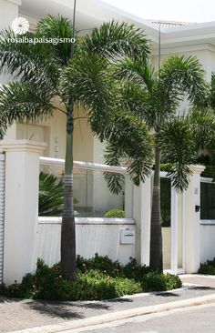 an apartment building with palm trees and landscaping