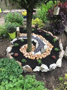 a tree in the middle of a garden with rocks and gravel around it, surrounded by plants