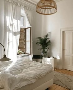 a bed sitting in a bedroom next to a window with a plant on top of it