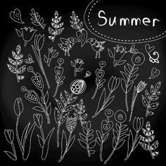 hand drawn flowers and plants on a chalkboard with the words summer written in it