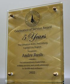 Picture of Employee Spotlight Gold Award Plaque Diy Plaques Award, Best Employee Award, Award Plaque Design Modern, The Grinch Pictures, Acrylic Plaque Award, Military Awards, Staff Appreciation Gifts