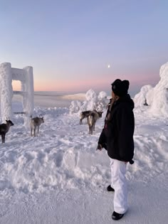 a person standing in the snow with some dogs