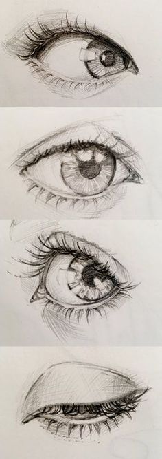 four different types of eyes drawn in pencil