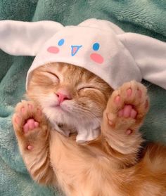 an orange cat laying on top of a blanket covered in a white bunny hat with its paws up