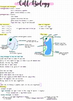 the diagram shows how to use cell biology