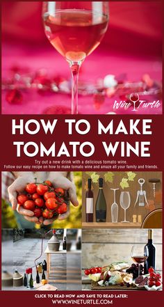 how to make tomato wine with the help of an expert sommeer's guide