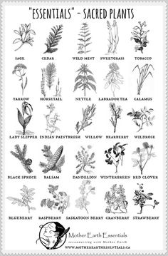 an old black and white poster with different types of plants on it's side