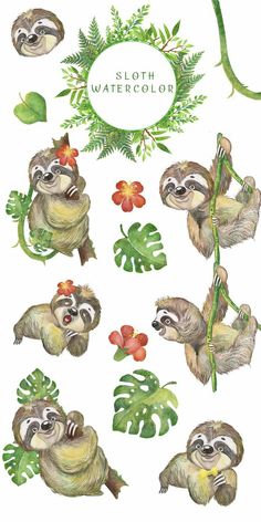 sloth watercolors with tropical leaves and flowers in the bottom right hand corner