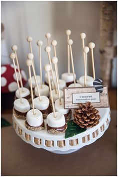 there are many cupcakes with pine cones on the top and wooden sticks sticking out of them