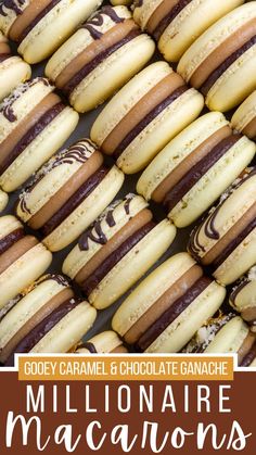 there are many macaroons on display together