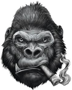 Gorilla Wallpaper, Gorilla Gorilla, Gorillas Art, Monkey Tattoos, Monkey Wallpaper, Kunst Tattoos, Tattoo Collection, Monkey Art