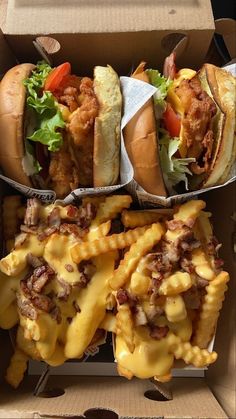 two sandwiches and fries are in a box