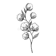 a drawing of flowers on a white background