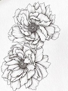 some flowers that are drawn on paper