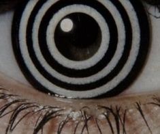 an eye with black and white circles on it's iris, as seen from the bottom