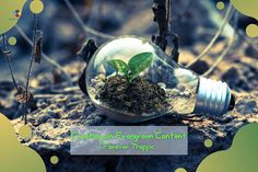 a light bulb filled with dirt and a small green plant in it's center