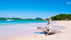 a beach with a boat in the water and a tree trunk on the sand near by