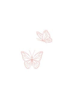 two pink butterflies on a white background