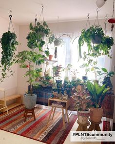 Hanging plants: ideas and inspiration for every interior style (boho, eclectic, vintage, scandi) Window Seat Plant Ideas, Window Seat Plants, Window Seat With Bookshelves, Valentine Room, Hanging Plants Ideas, Plants In The Home, House Diys, Tiny House Camper