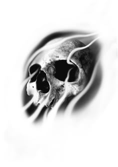 a black and white photo of a skull