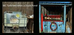 two pictures side by side one has a duck in a cage and the other shows an old wooden fence