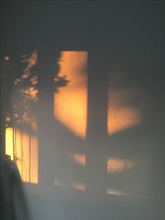 the shadow of a tree on a wall in front of a window with blinds behind it