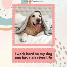 Click to read more! Need a smile? Check out our collection of funny and heartwarming dog quotes! Perfect for dog lovers, these quotes capture the joy, humor, and love our furry friends bring into our lives. From hilarious one-liners to sweet sentiments, these quotes will make your day brighter. Visit LifeWithEileen.com to discover even more quotes that celebrate life with dogs! #dogs #doglover #quotes George Carlin, Celebrate Life, One Liner, Custom Products