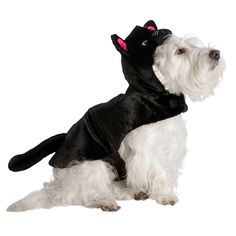 a white dog wearing a black cat costume