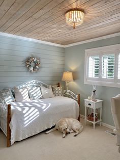 a dog laying on the floor next to a bed in a room with blue walls