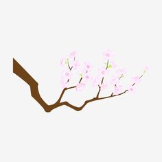 a branch with pink flowers on it against a white background in the style of cherry blossoms