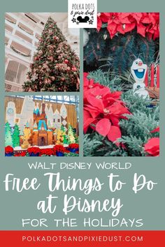 christmas trees and poinsettis at disney world with text overlay that reads walt world free things to do at disney for the holidays