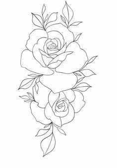 a line drawing of three roses with leaves on the stems and one flower in the middle