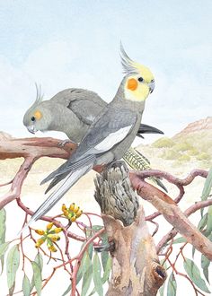 two birds sitting on top of a tree branch next to leaves and branches with yellow flowers