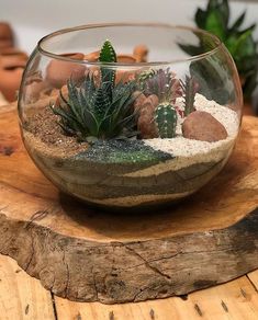 a glass bowl filled with plants and rocks on top of a wooden table next to potted plants