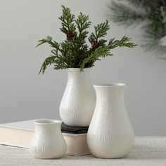 three white vases sitting on top of a table next to a pine cone plant