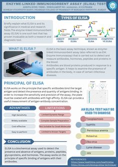 an info sheet with information about the different types of materials and their uses in this project