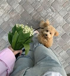 a person holding a bouquet of flowers and a teddy bear in their lap on the ground