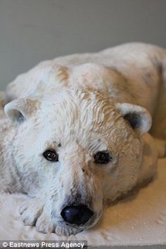 a white polar bear statue laying on top of a table next to a wall and window