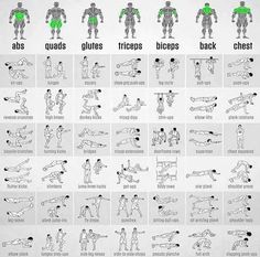 an exercise chart showing the different exercises to do with dumbs and chest presses, which are