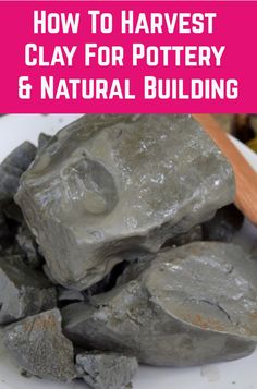 a pile of rocks sitting on top of a white plate next to a wooden spoon