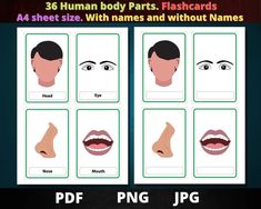 human body parts flashcards with names and without names