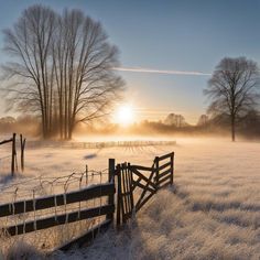 a frosty field with a fence and trees on the other side, as the sun is setting