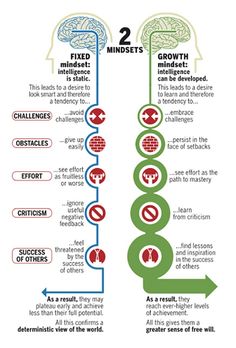 a diagram showing the different stages of brain growth and how they are used to help them