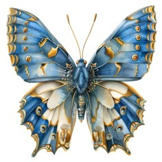 a blue butterfly with gold accents on its wings