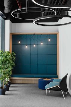 an office with blue walls and plants in the corner, along with two black chairs